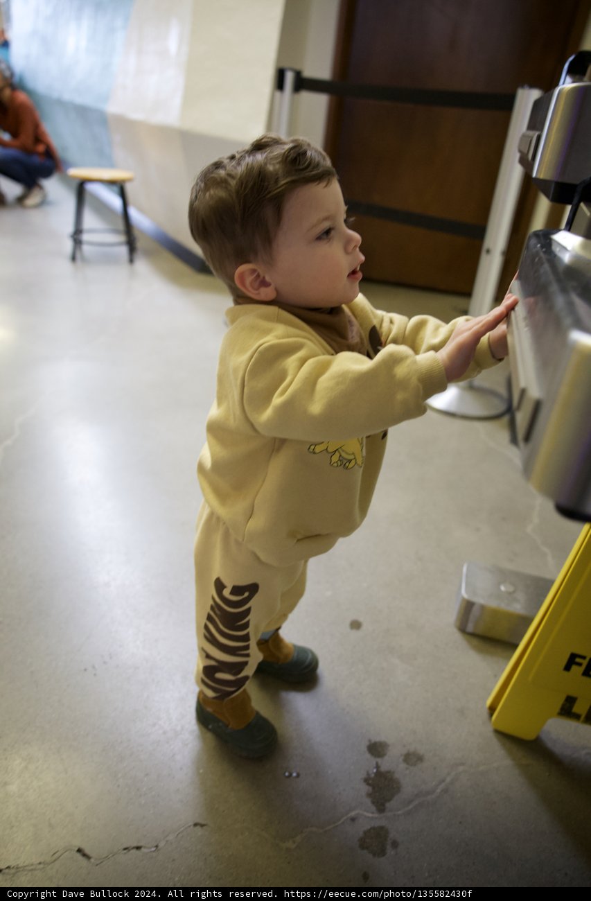 Childhood Adventure at the Lawrence Hall of Science