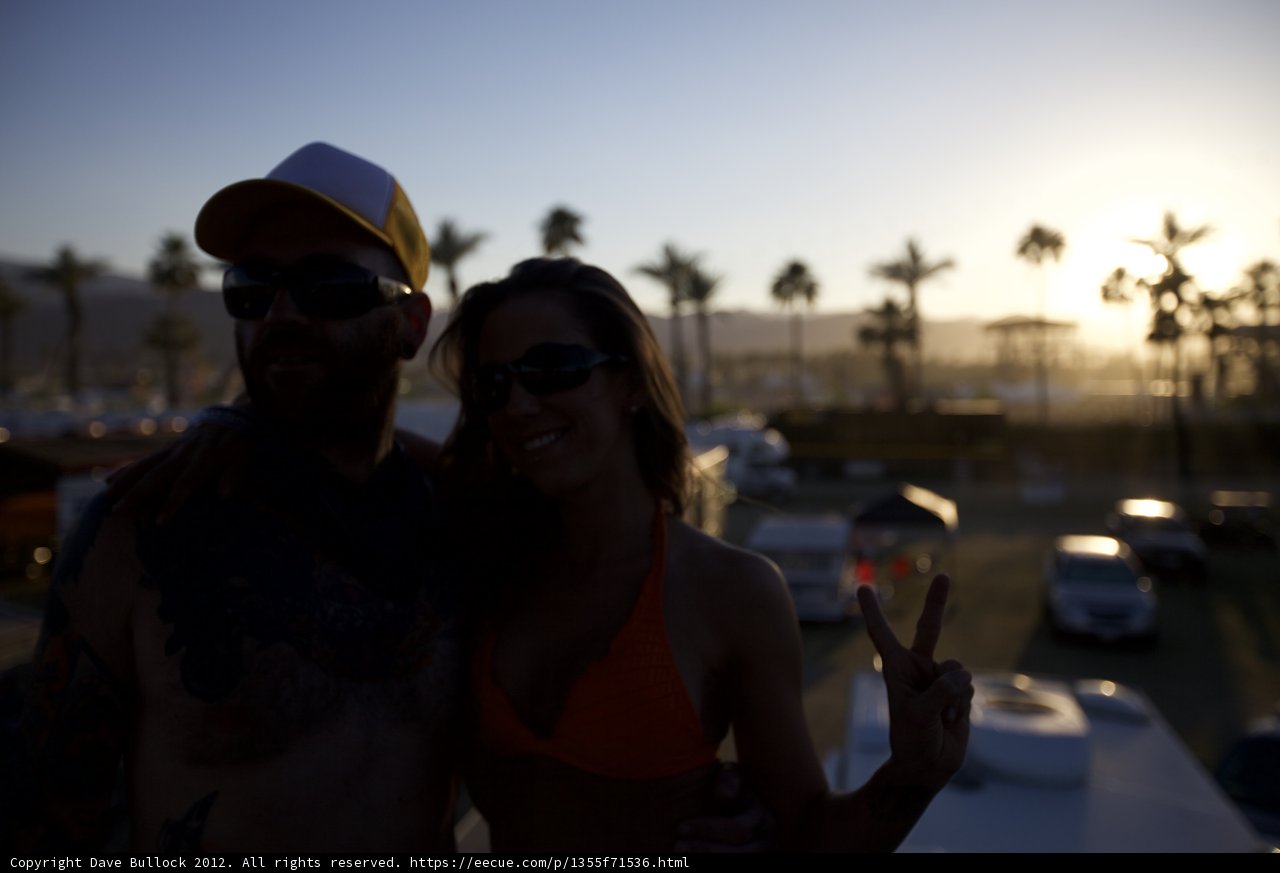 Sunset Lovebirds