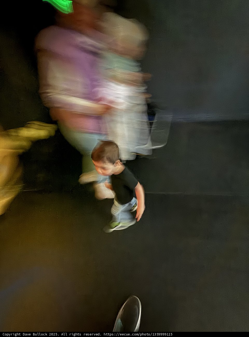 Motion Blur at the Palace
