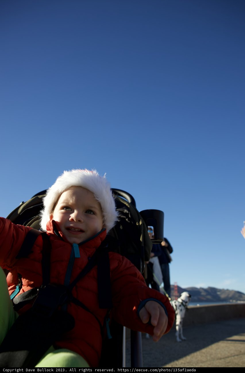 A Winter Wonderland Adventure: Family, Furry Friends, and Fashion