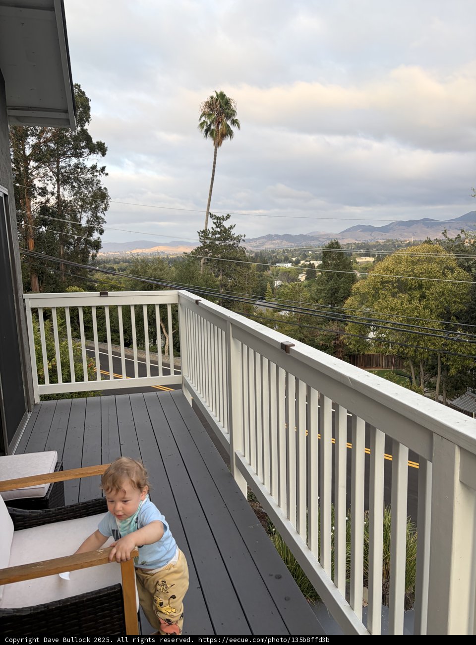 Balcony Adventures