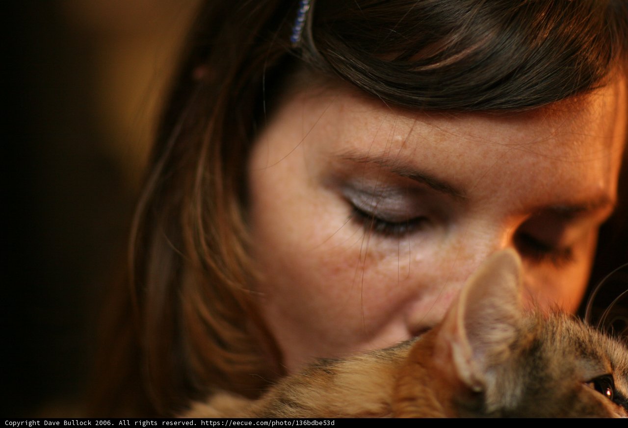 A Warm Embrace: Woman and Kitten, 2006
