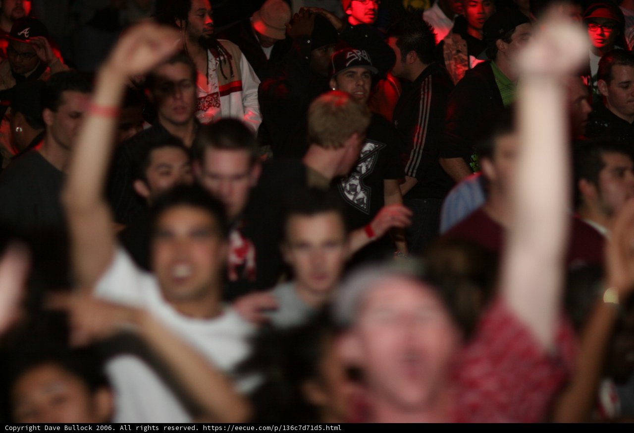 Urban Nightclub Crowd Goes Wild