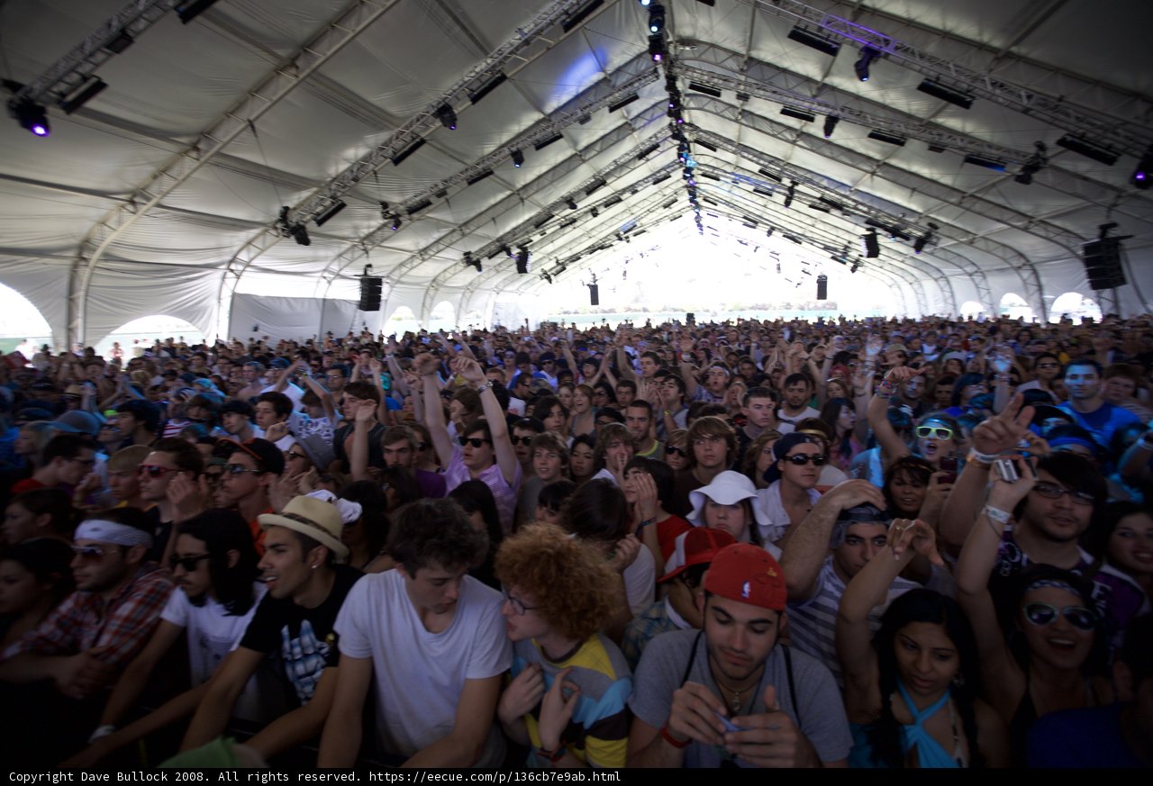 Coachella Crowd Goes Wild