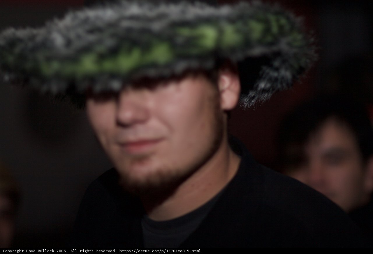 The Green Feathered Hat