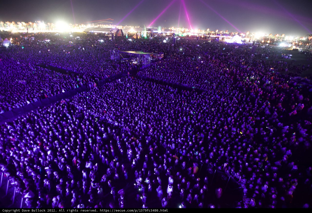 Purple Haze