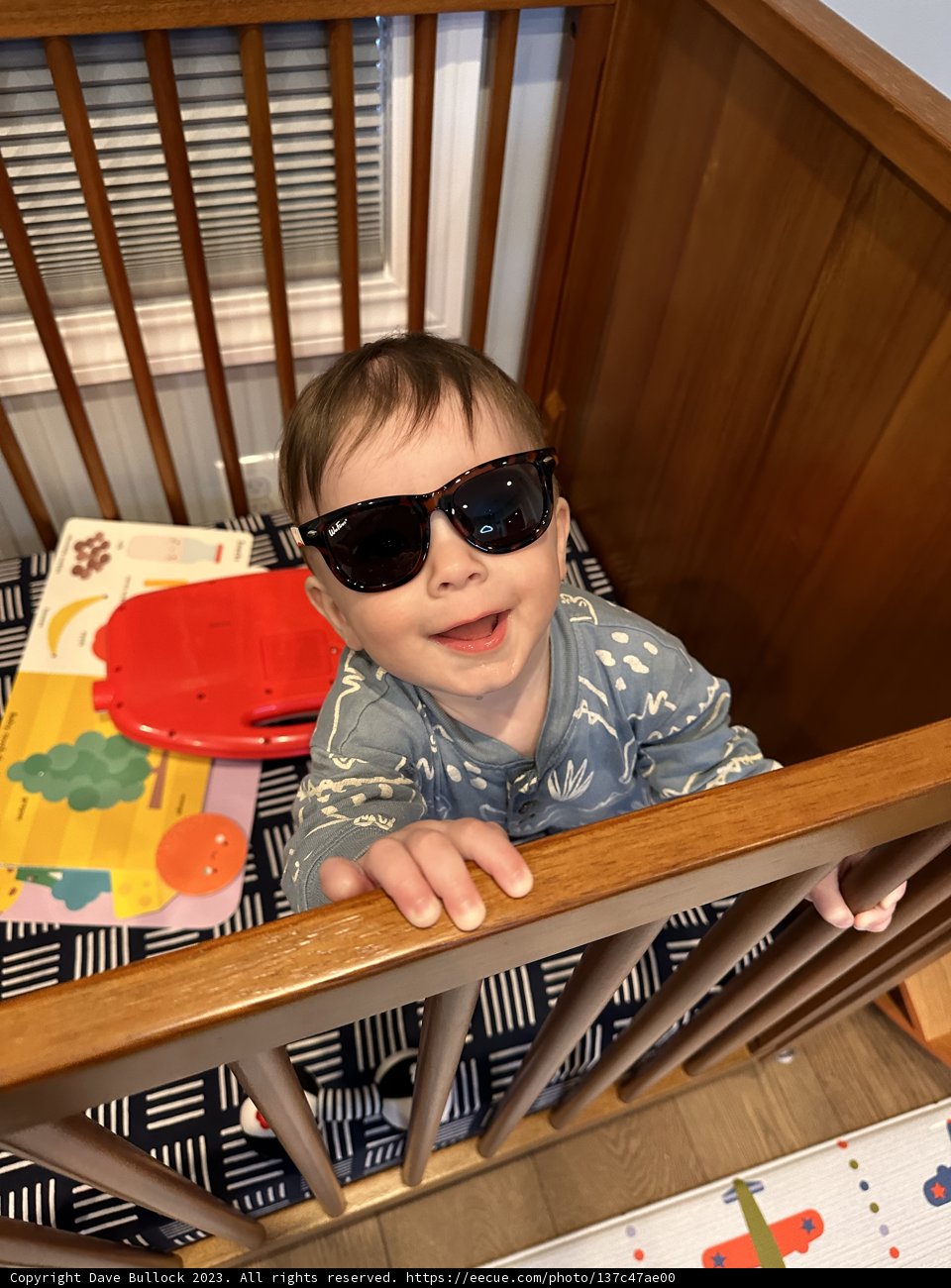 Shades in the Crib