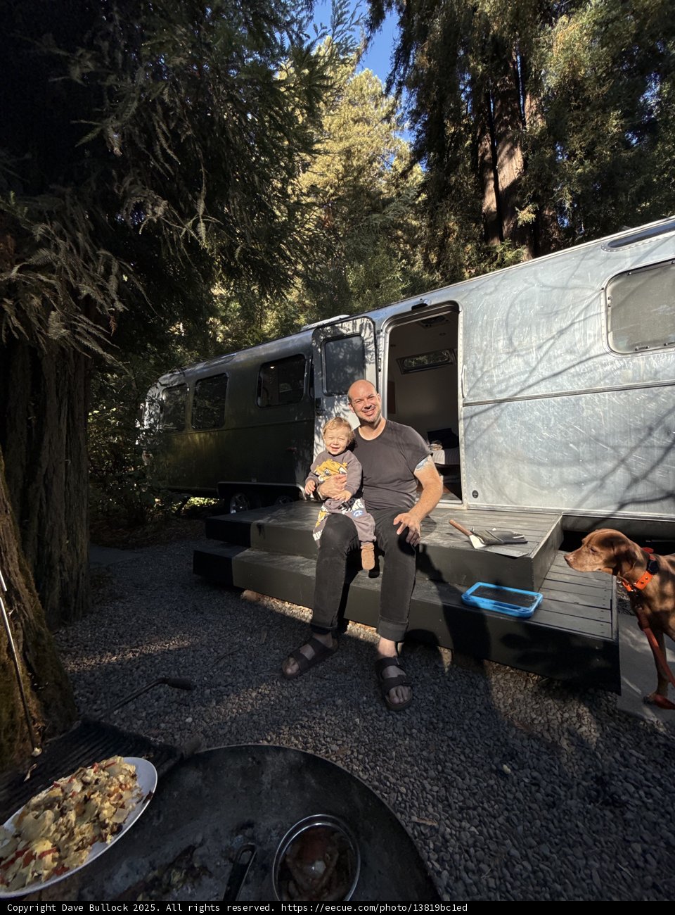 Forest Retreat with Family and Friends