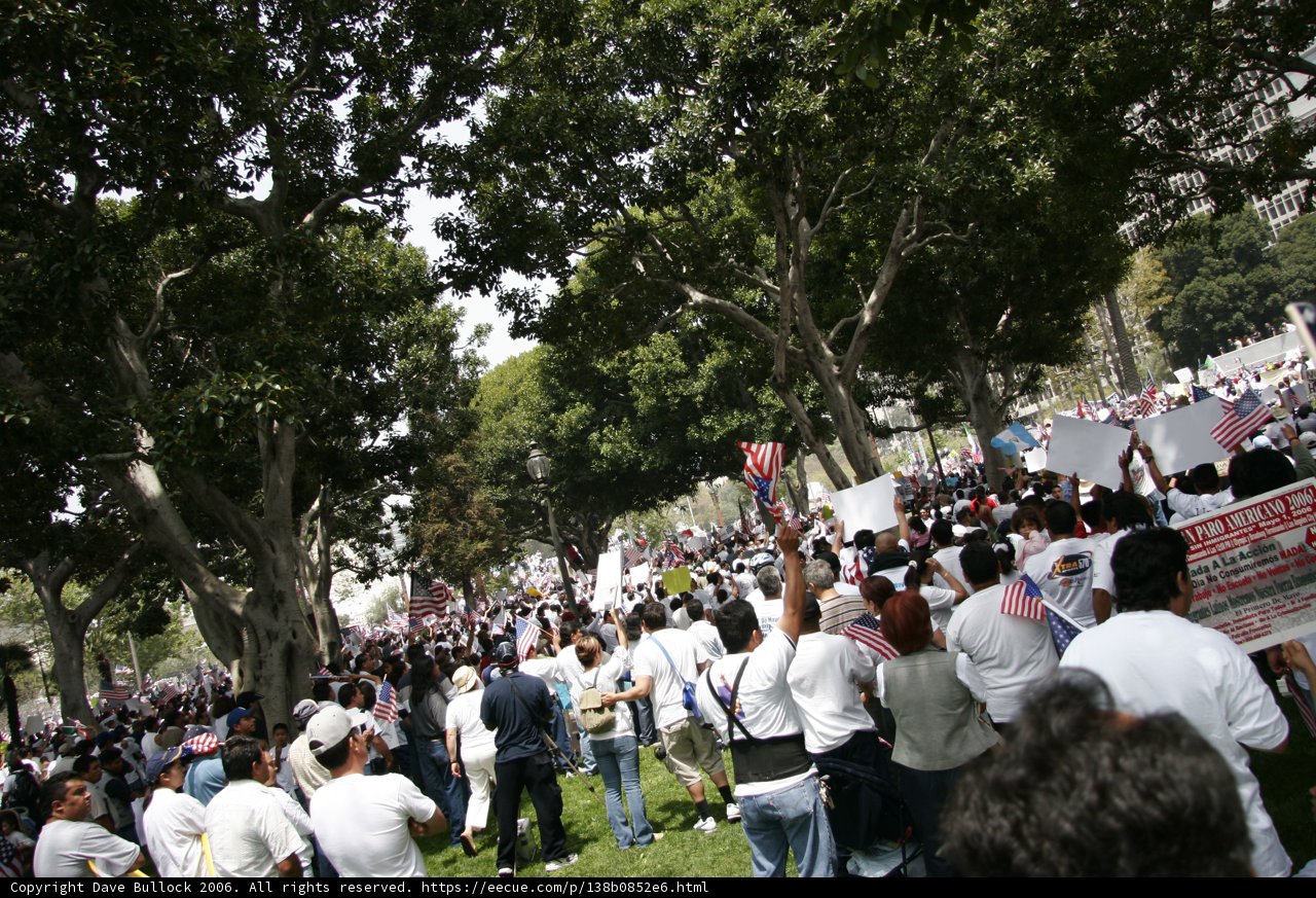 Protest in the Park