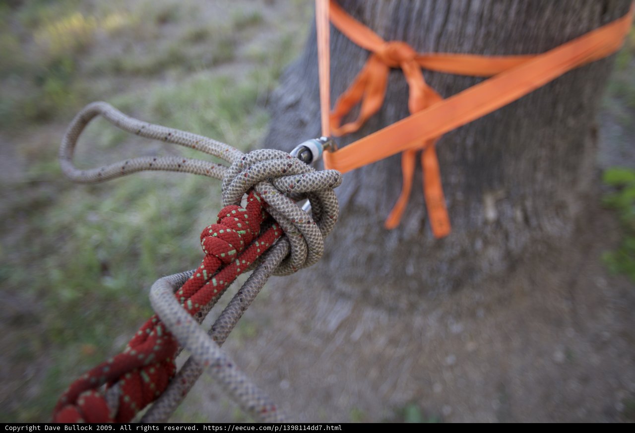 Tied Up with a Bow