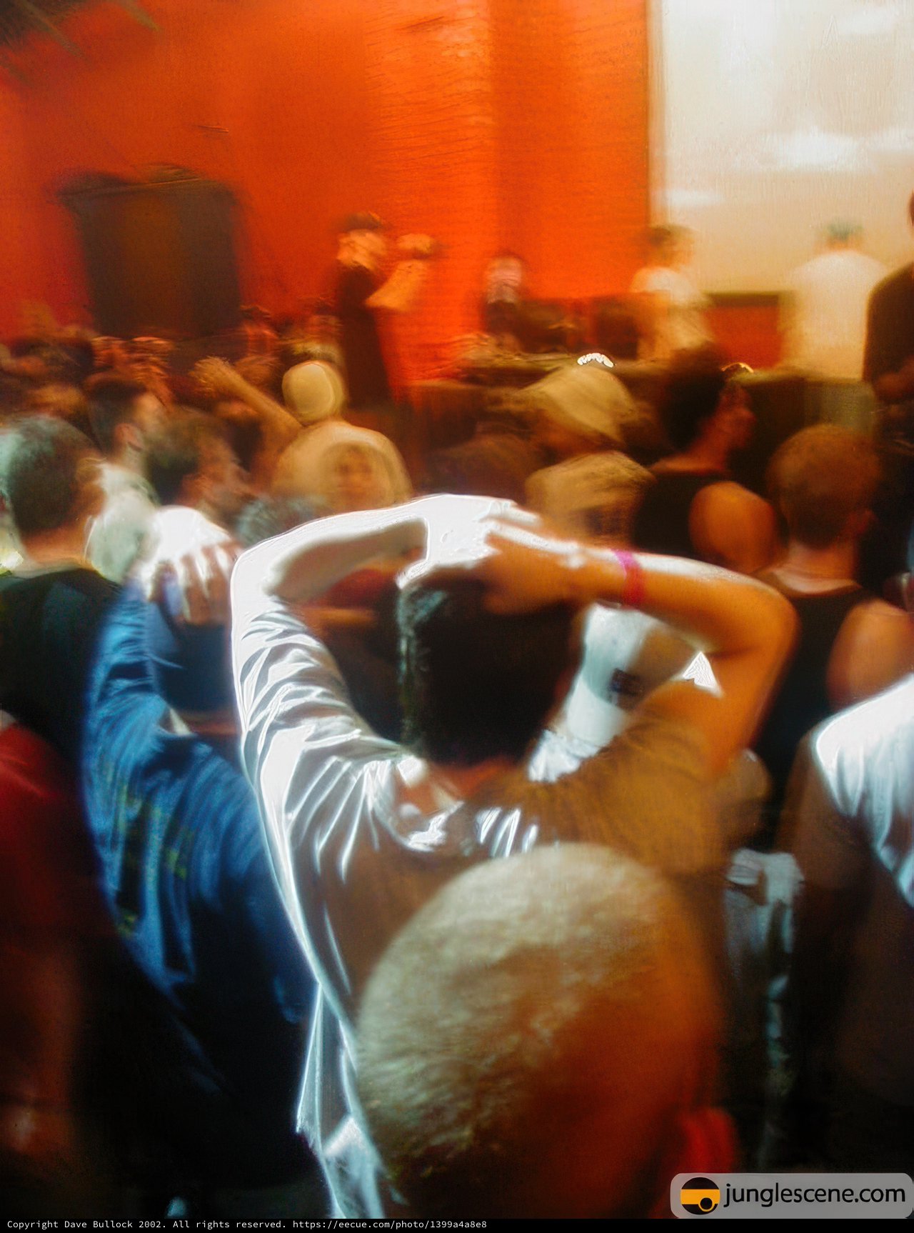Crowd in a Night Club