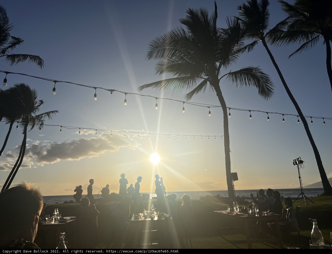 Sunset Dining Under Palm Trees