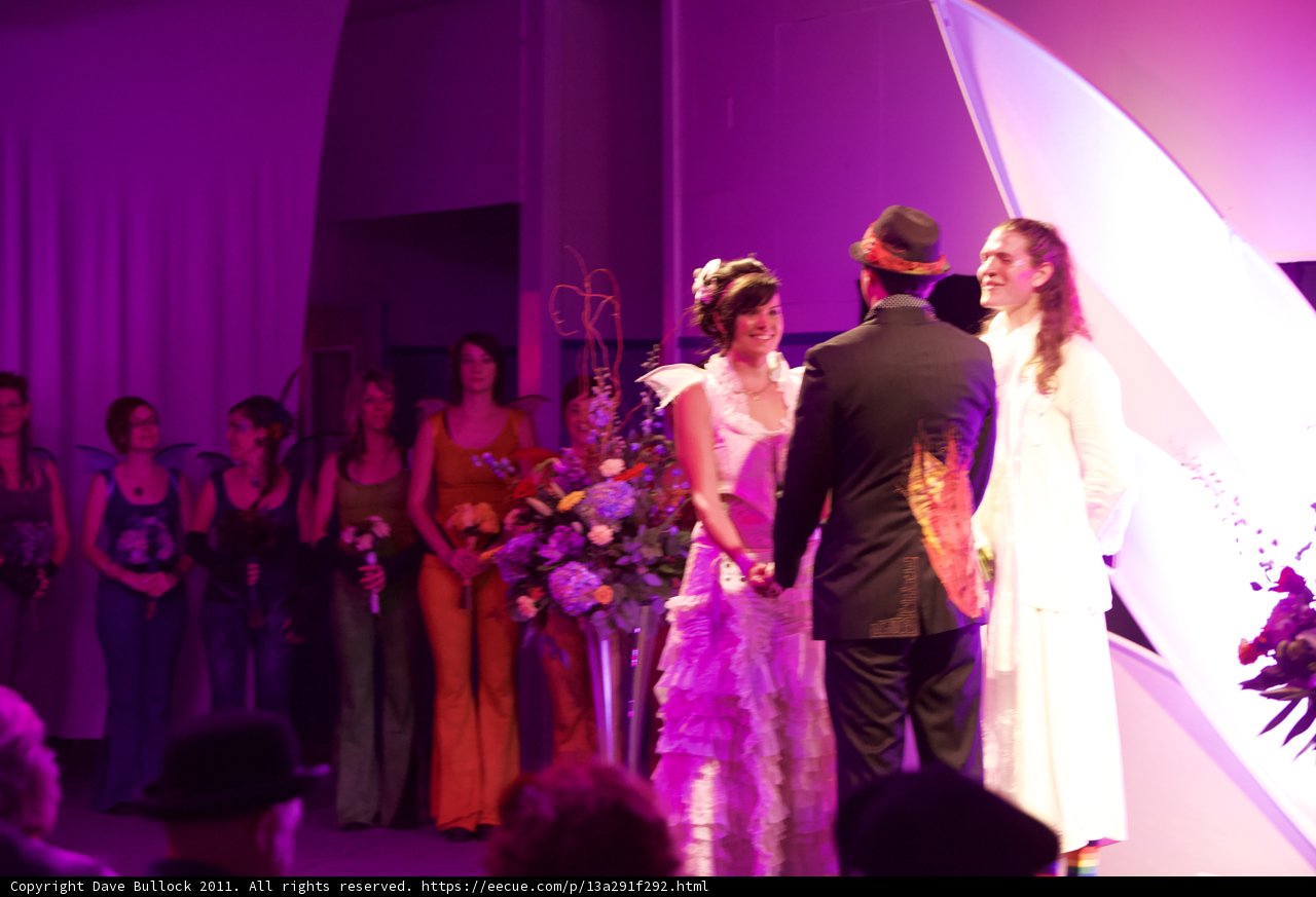 The Wickstrom Wedding Bliss