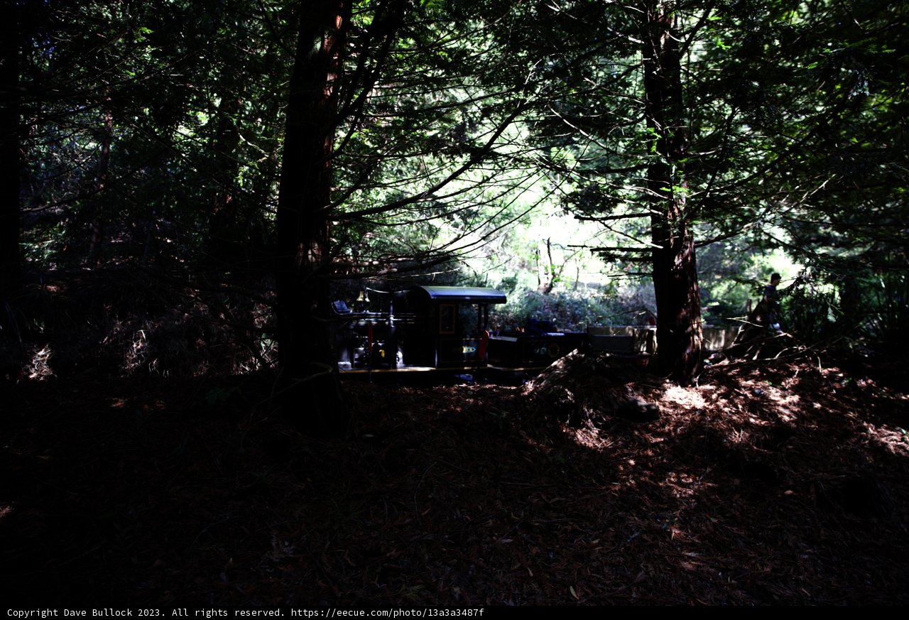 Enchanted Escape in the Woods