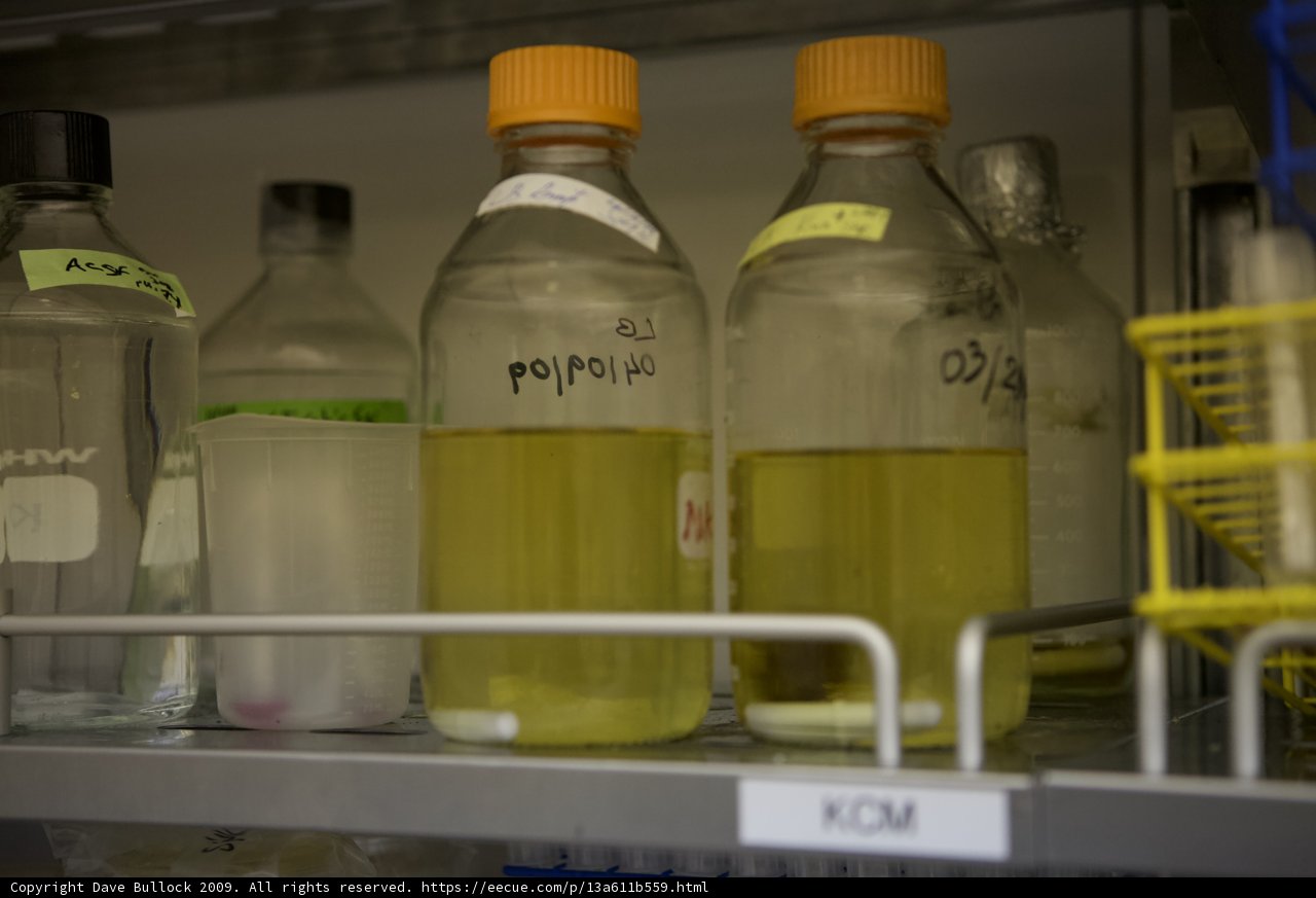 Yellow Liquid Bottles on a Shelf