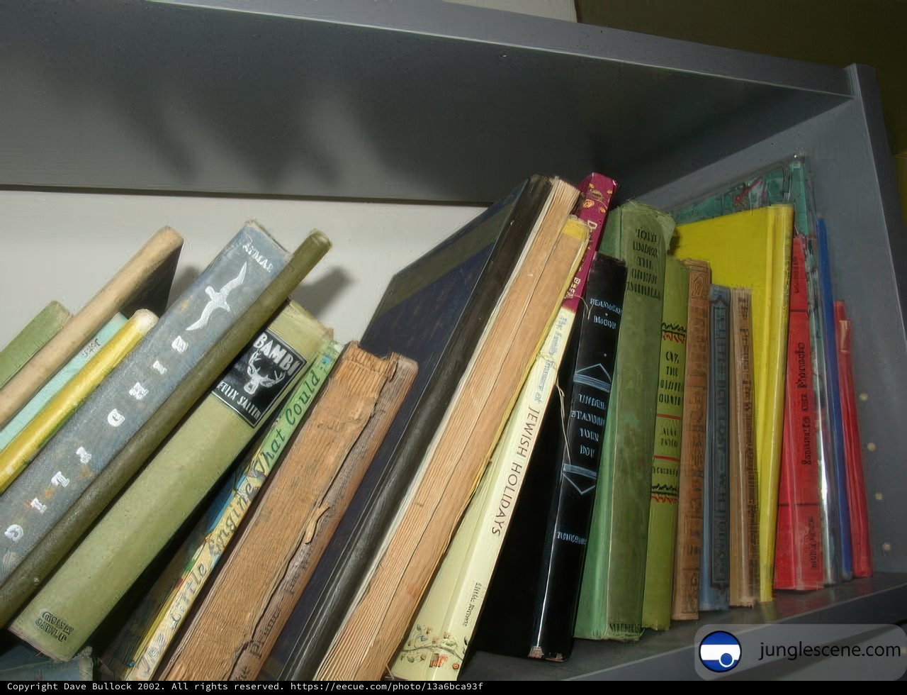 The Bookshelf in the Room