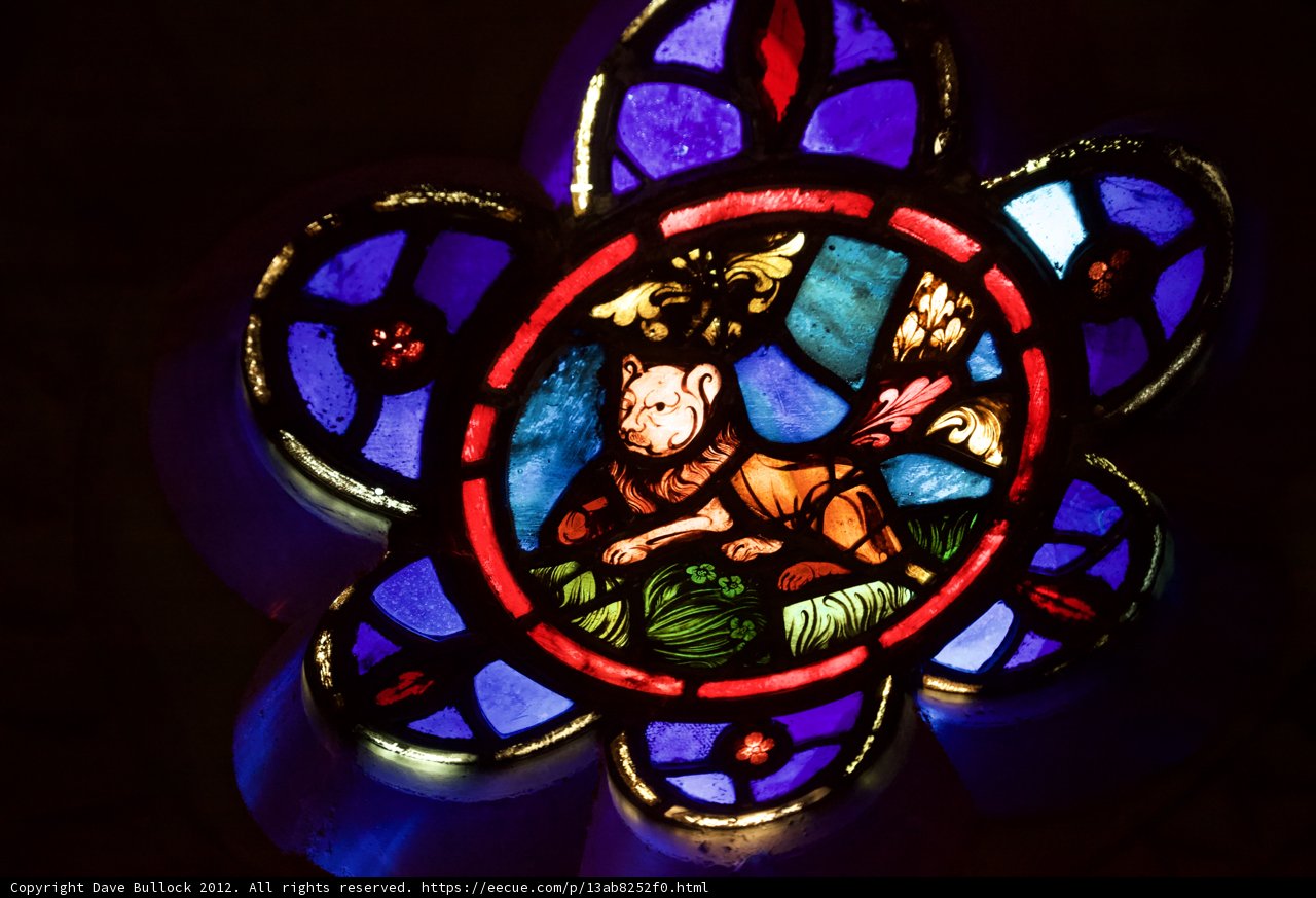 The Majestic Lion Stained Glass Window