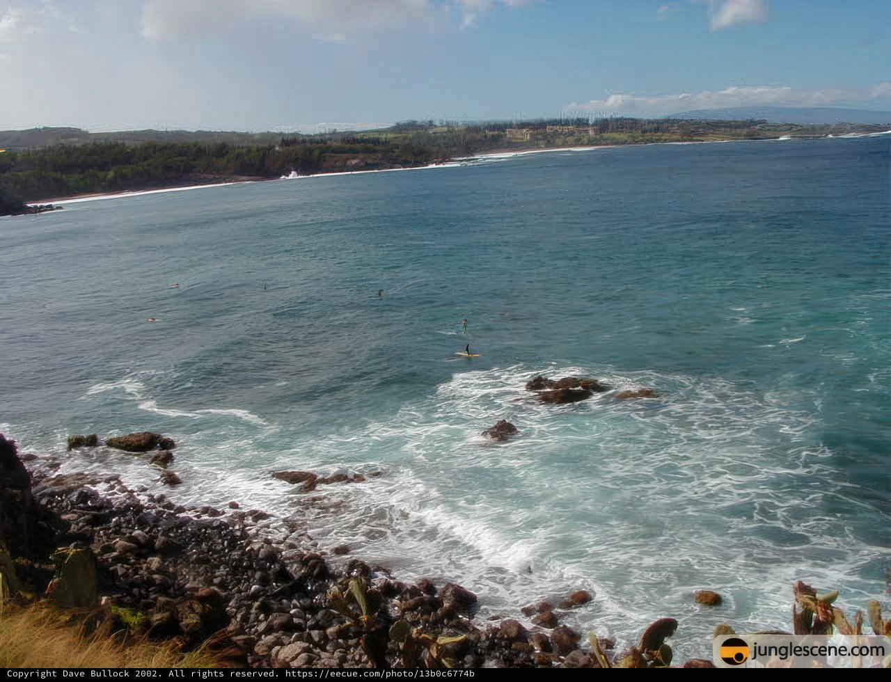 The Stunning View of the Ocean from a Cliff