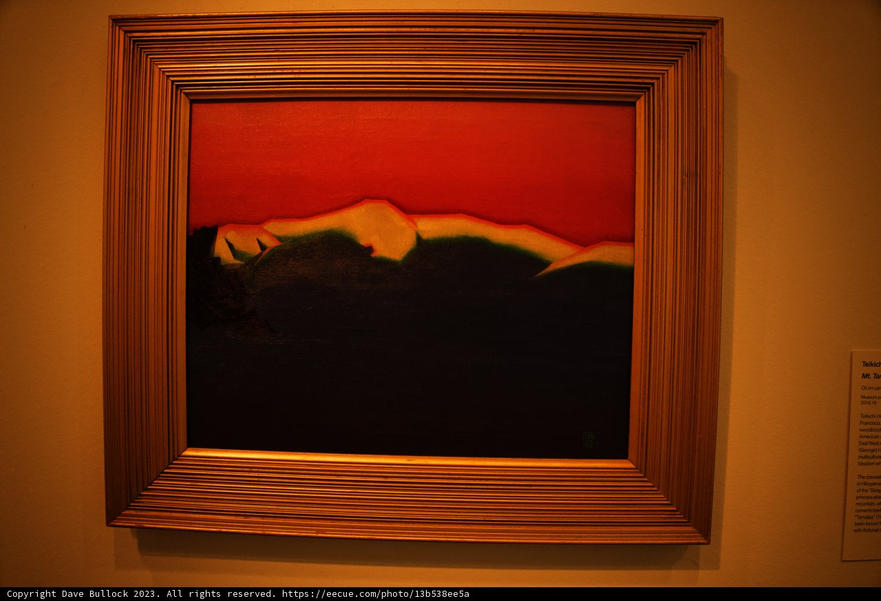 Modern Aesthetics Captured in Color: de Young Museum, 2023