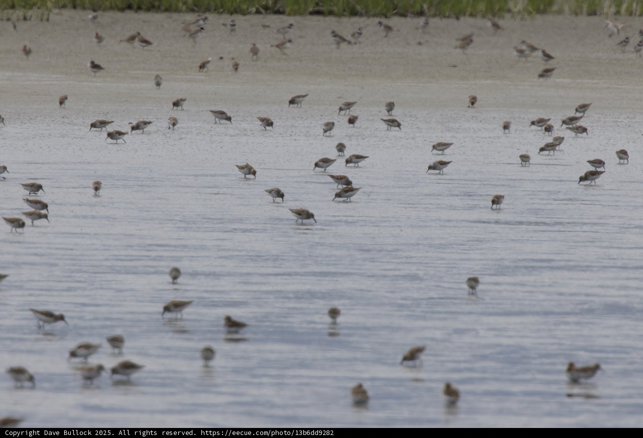Gathering at the Bay