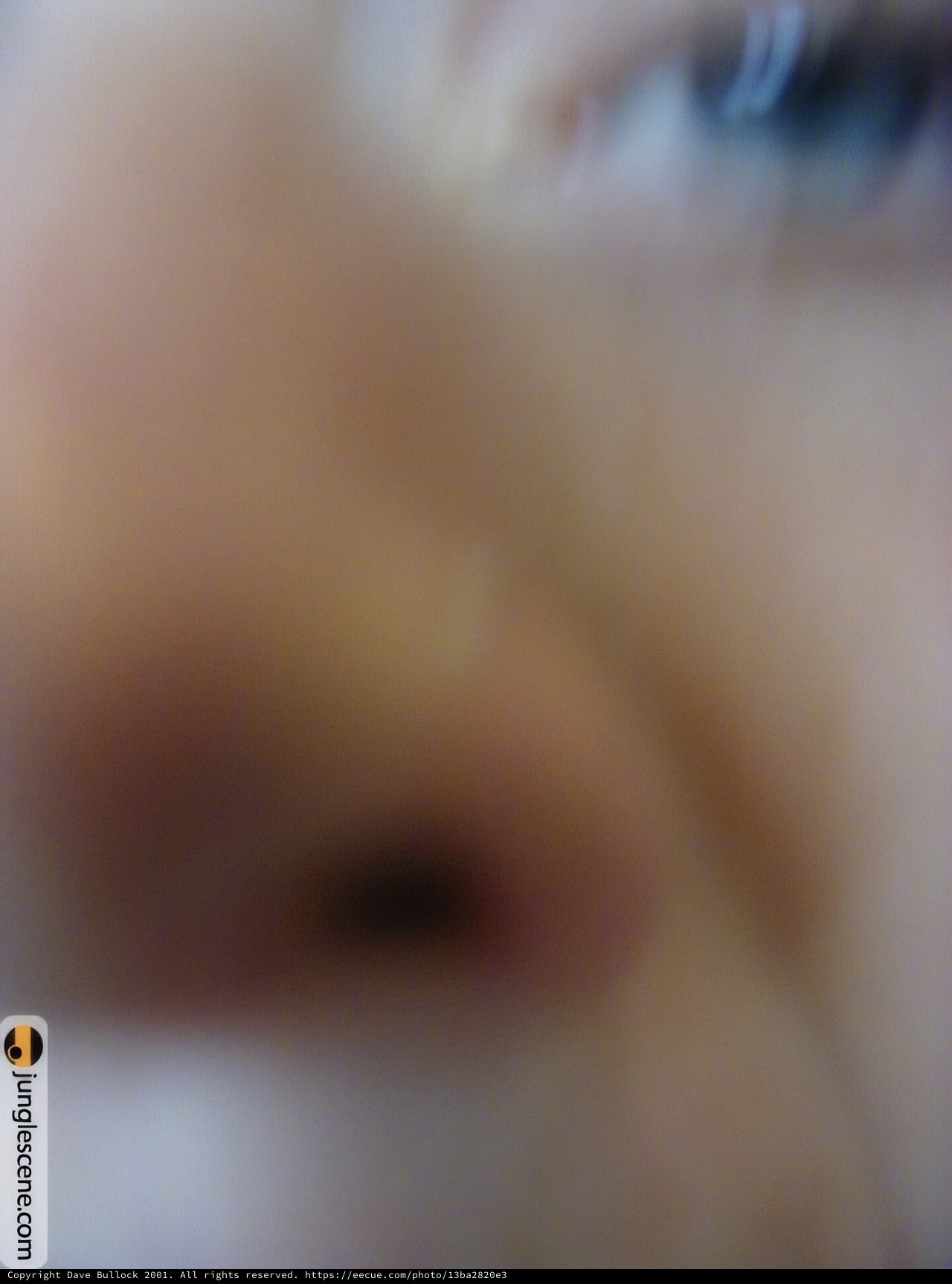 Blurry Christmas Cheer