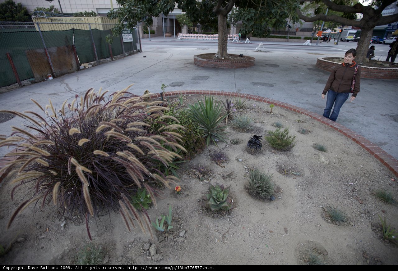 A Walk in the Urban Garden