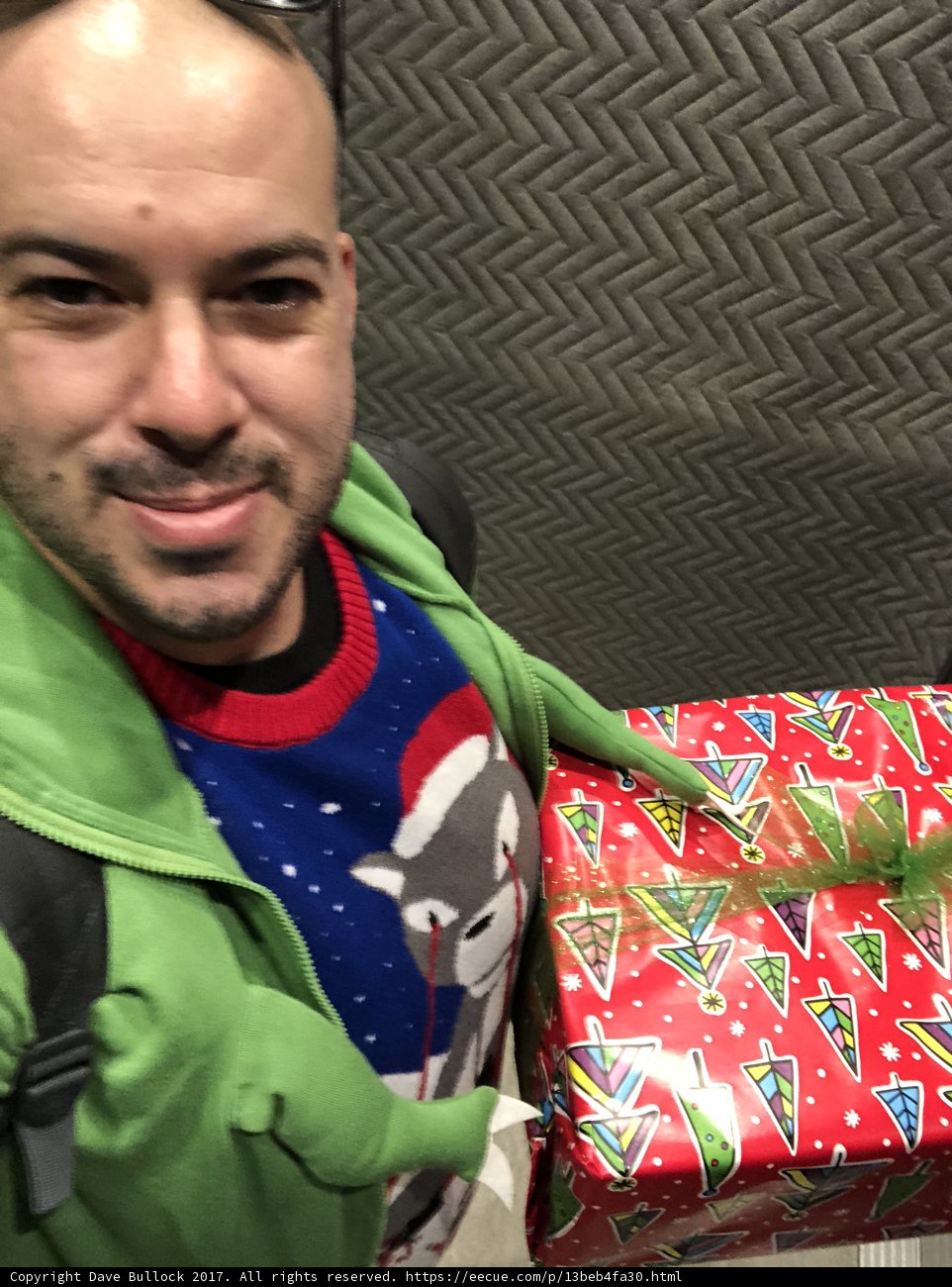 Holiday Surprise