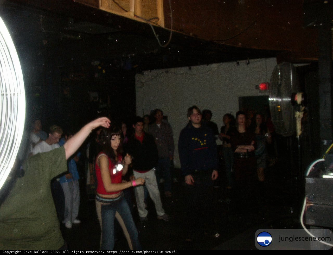 Nightclub Party with Friends