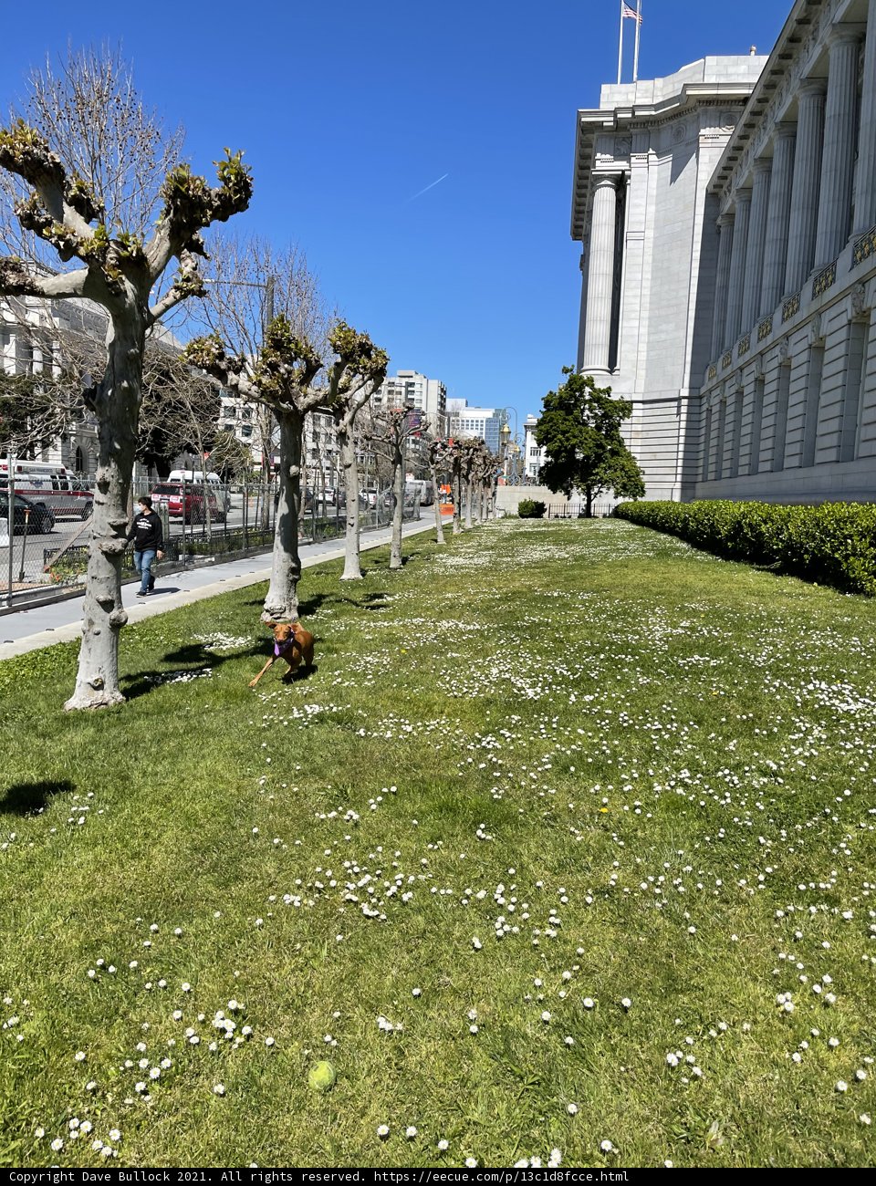 Serenity at San Francisco City Hall