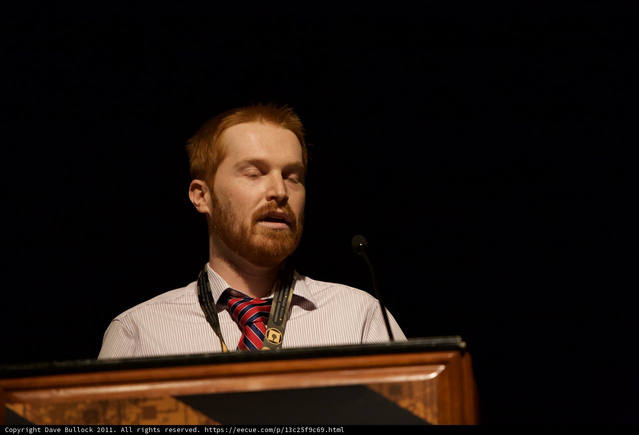 Red-bearded Man Addresses a Crowd
