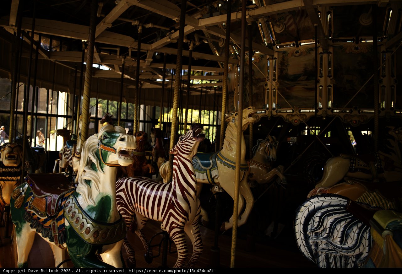 Whimsical Carousel Experience at Golden Gate Park