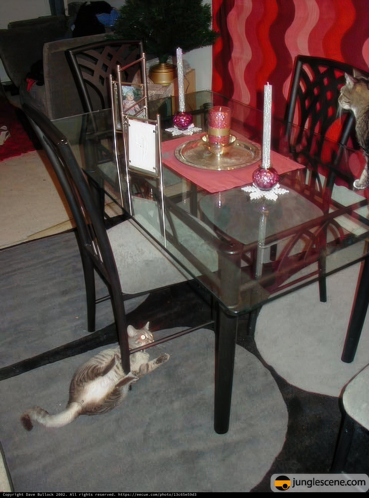Feline company at the dinner party