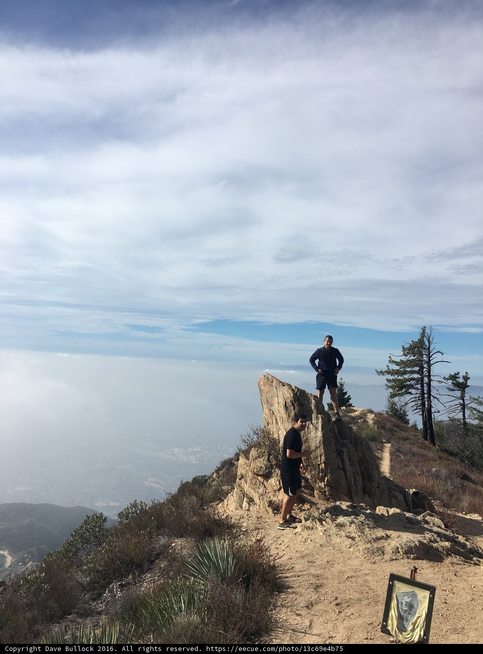 Capturing the Wilderness