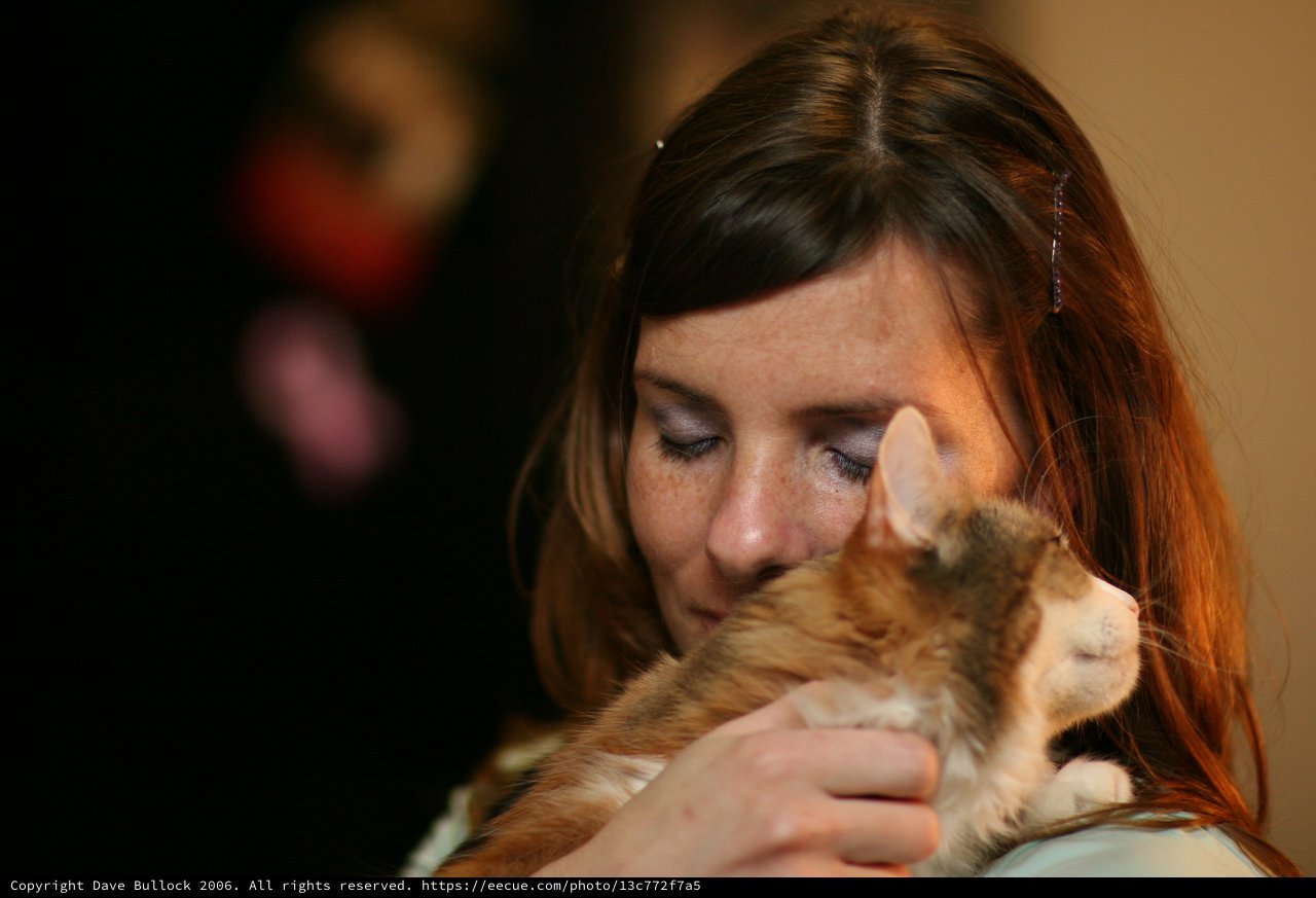 Tender Moment: Woman Nuzzles Beloved Ginger Kitten