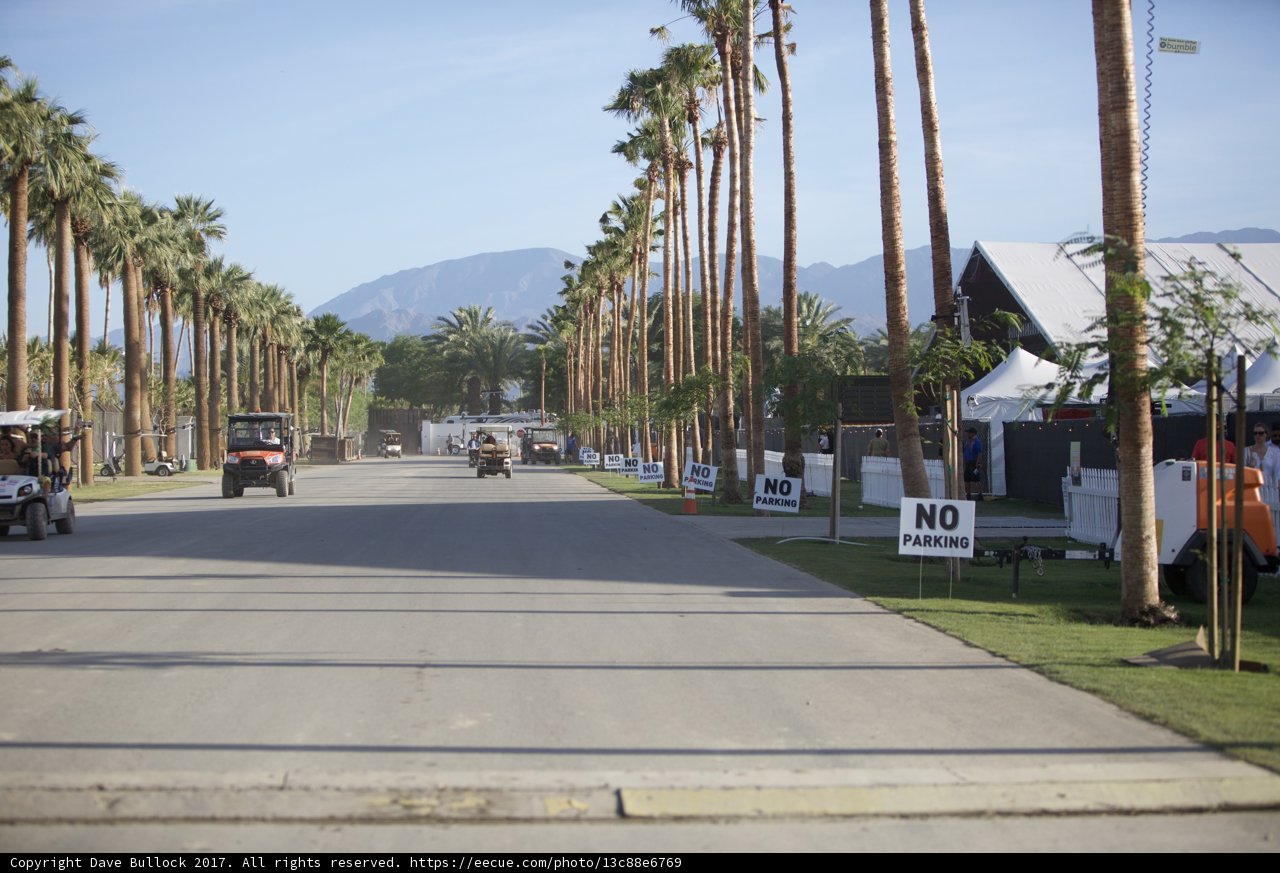 Summer Drive Down Palm Tree Road