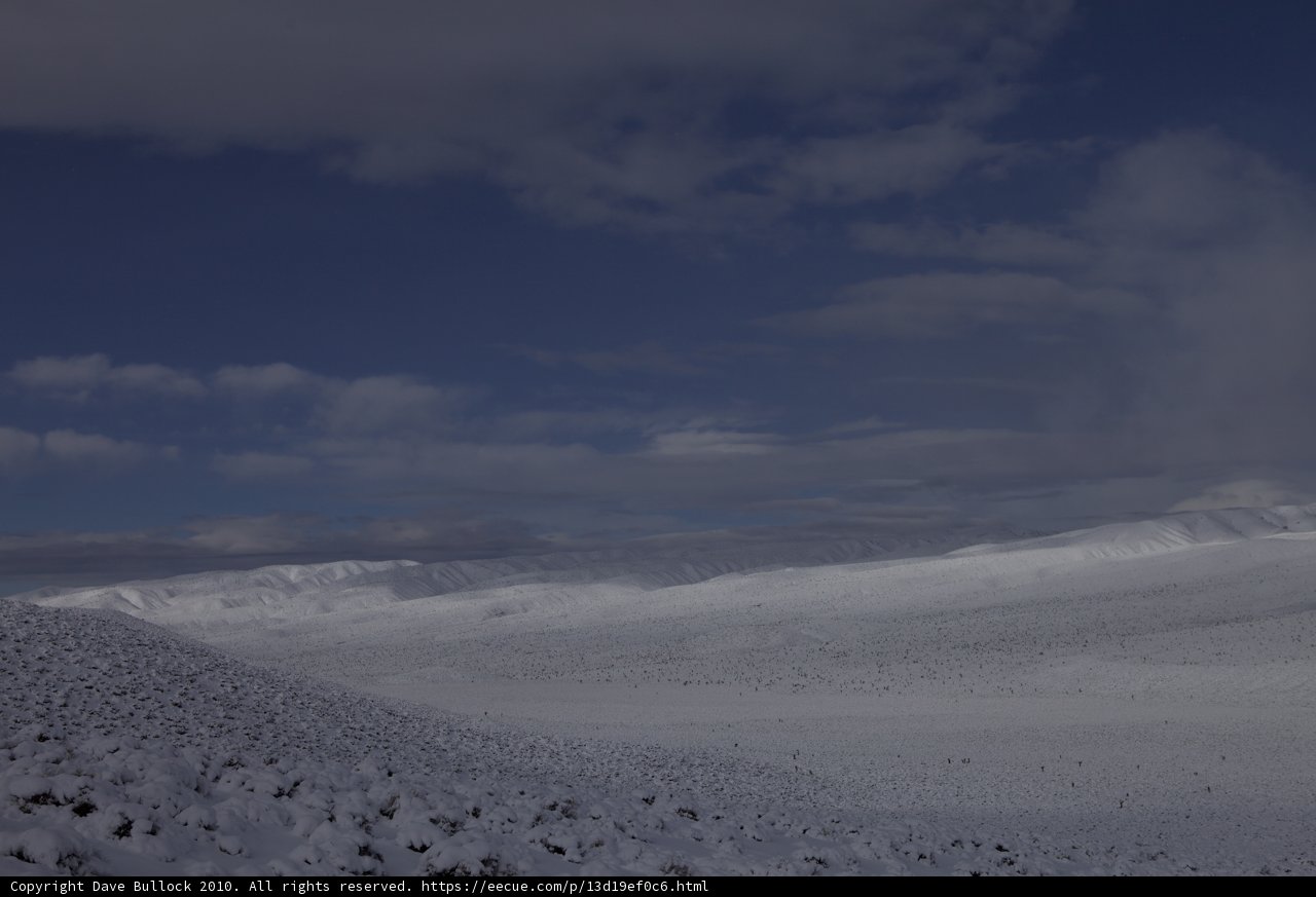 Winter Wonderland