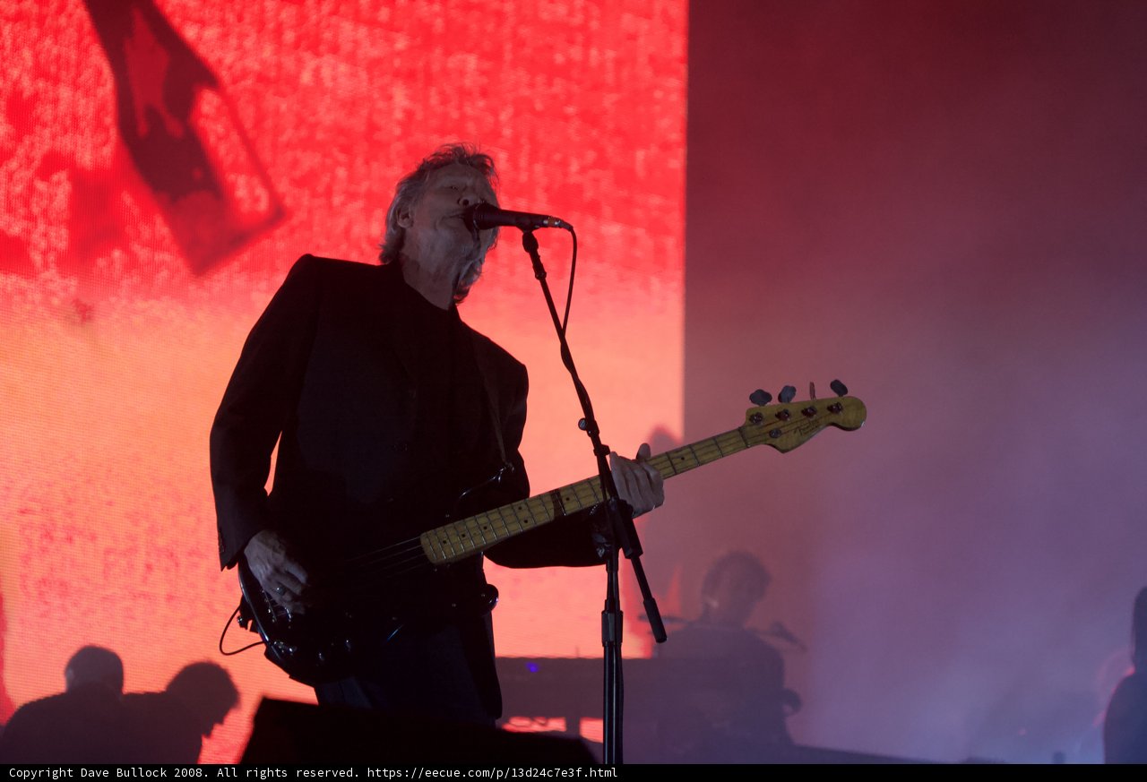 Bassist Rocks Out at Coachella Concert