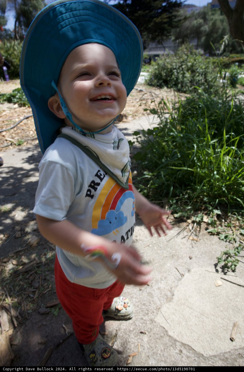 Joyful Moments in Nature