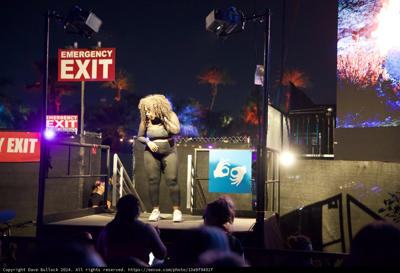 Electric Vibes Under the Palms: A Night at Coachella 2024