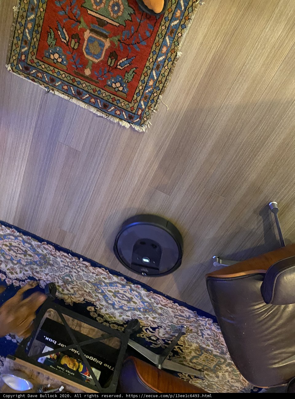 Robo Vac and Pup in Chic San Francisco Pad