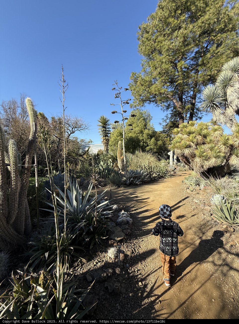 Exploring Nature's Pathways