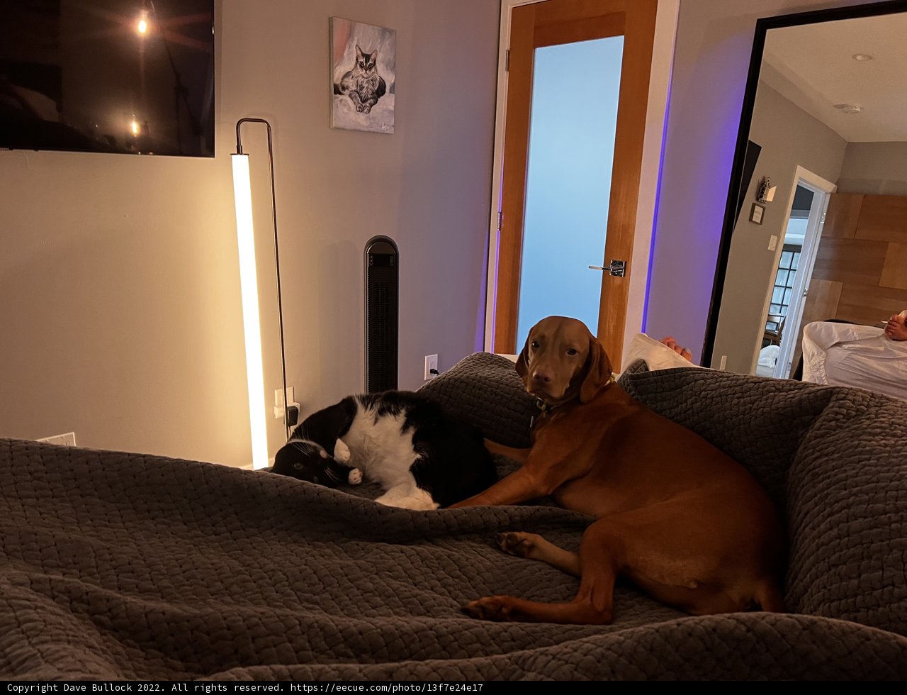 Best Friends Sharing the Bed