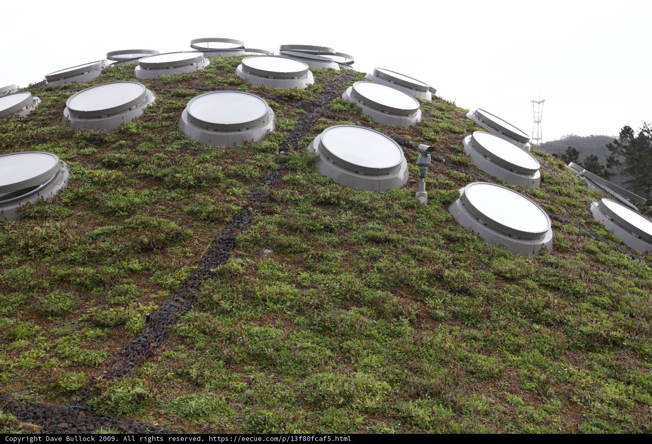 Circular Windows on a Green Roof