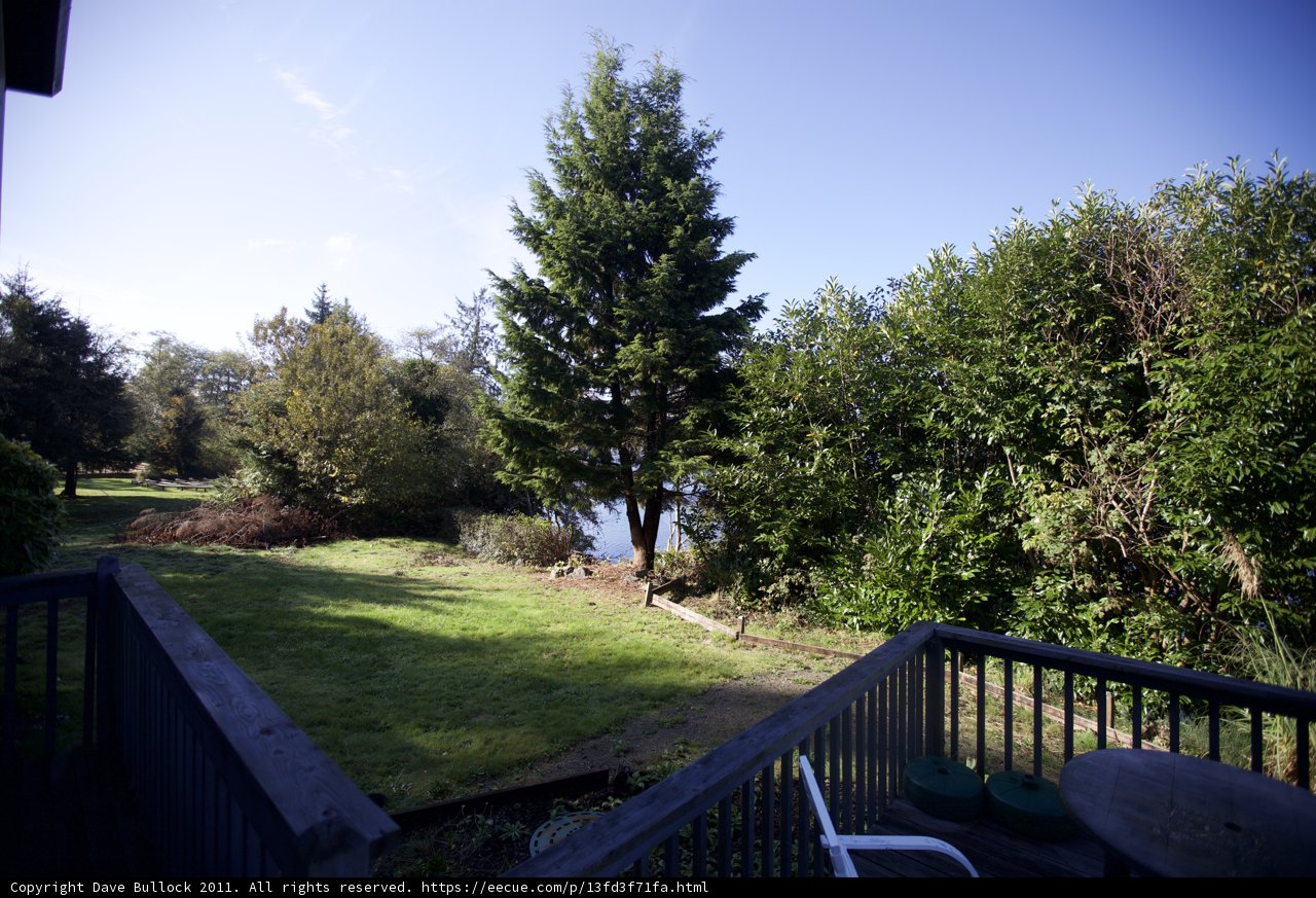 A Scenic View of the Backyard