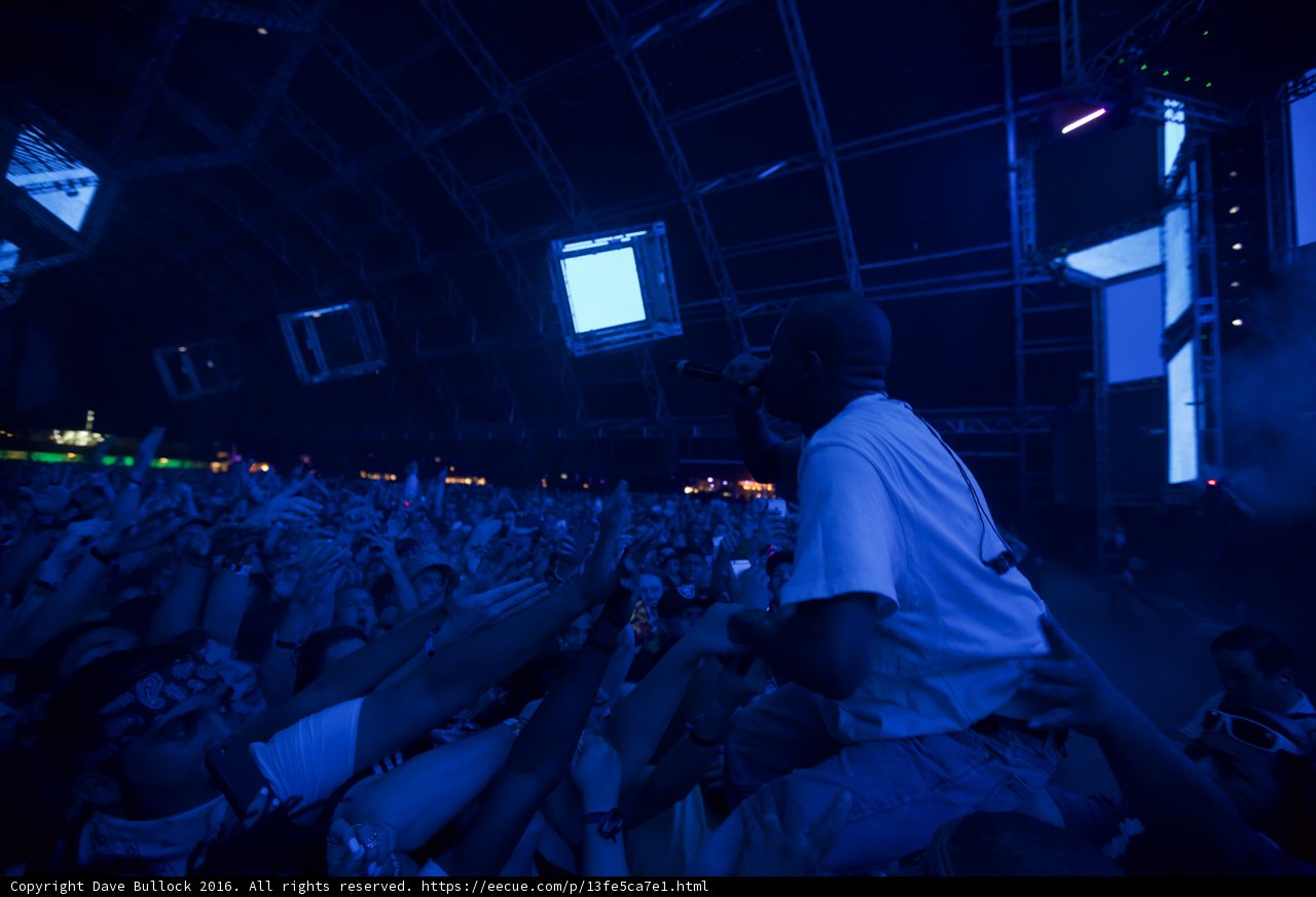 Standing Tall in a Sea of Music