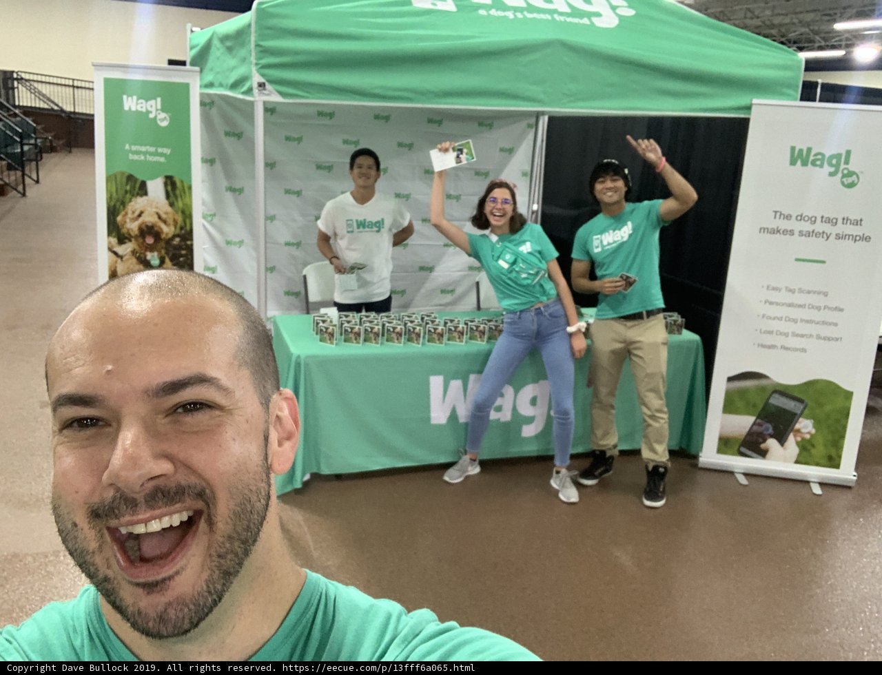 Waggy Dog Events: Fun for All with Furry Friends