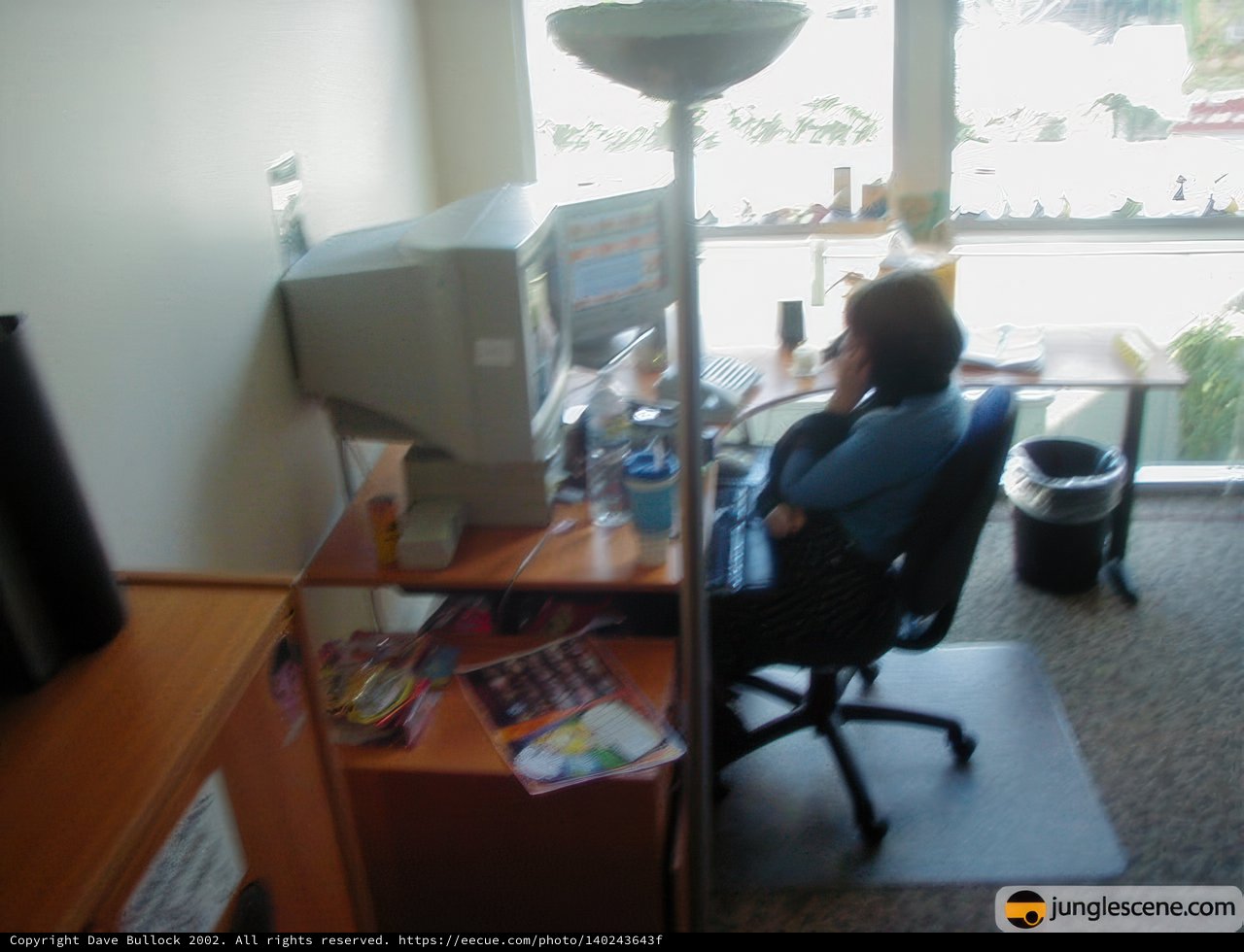 Working from Home