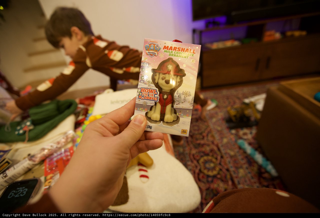Child Holding Paw Patrol Marshall Christmas Ornament