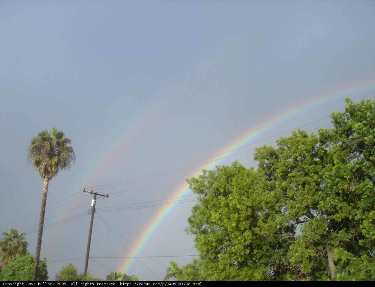 Double Rainbow Delight