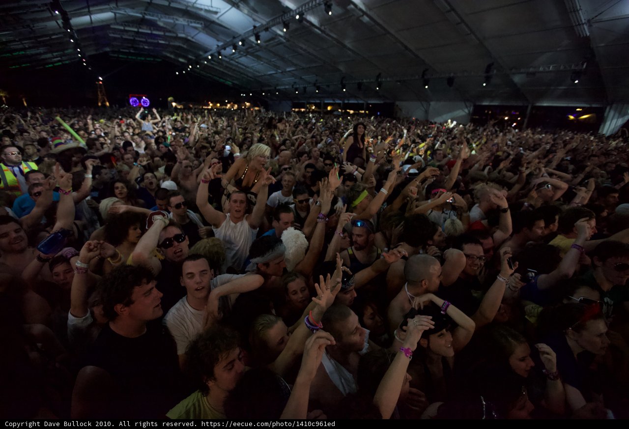 Excited Crowd at Coachella Concert